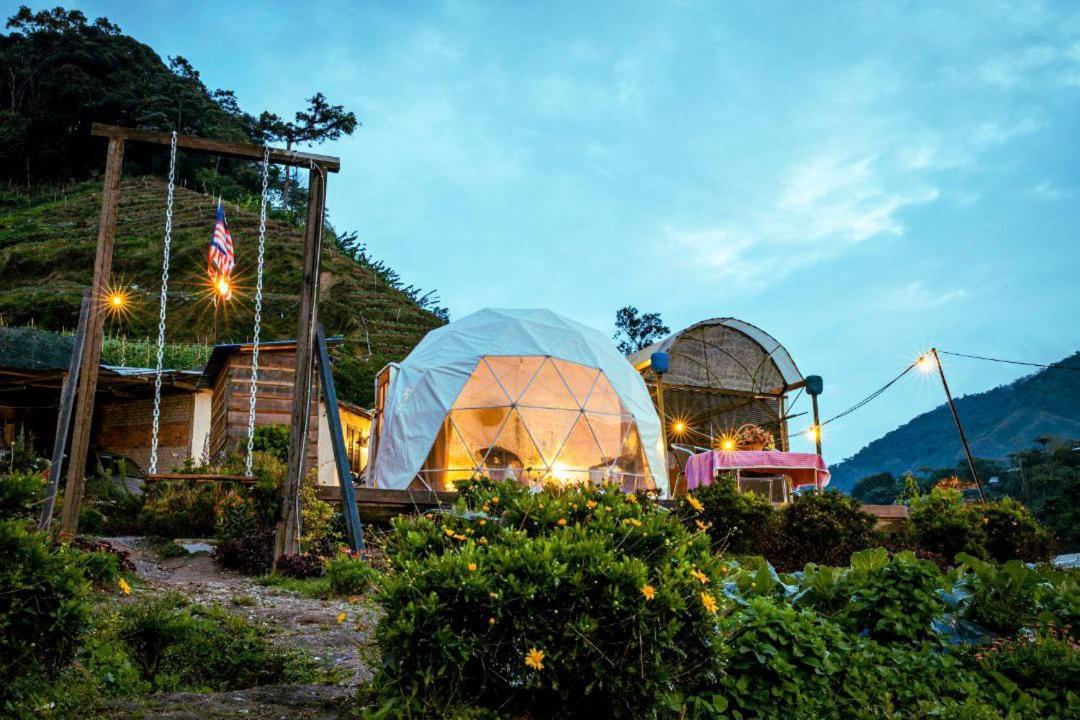 A'Moss Farmstay Cameron Highlands Exterior photo