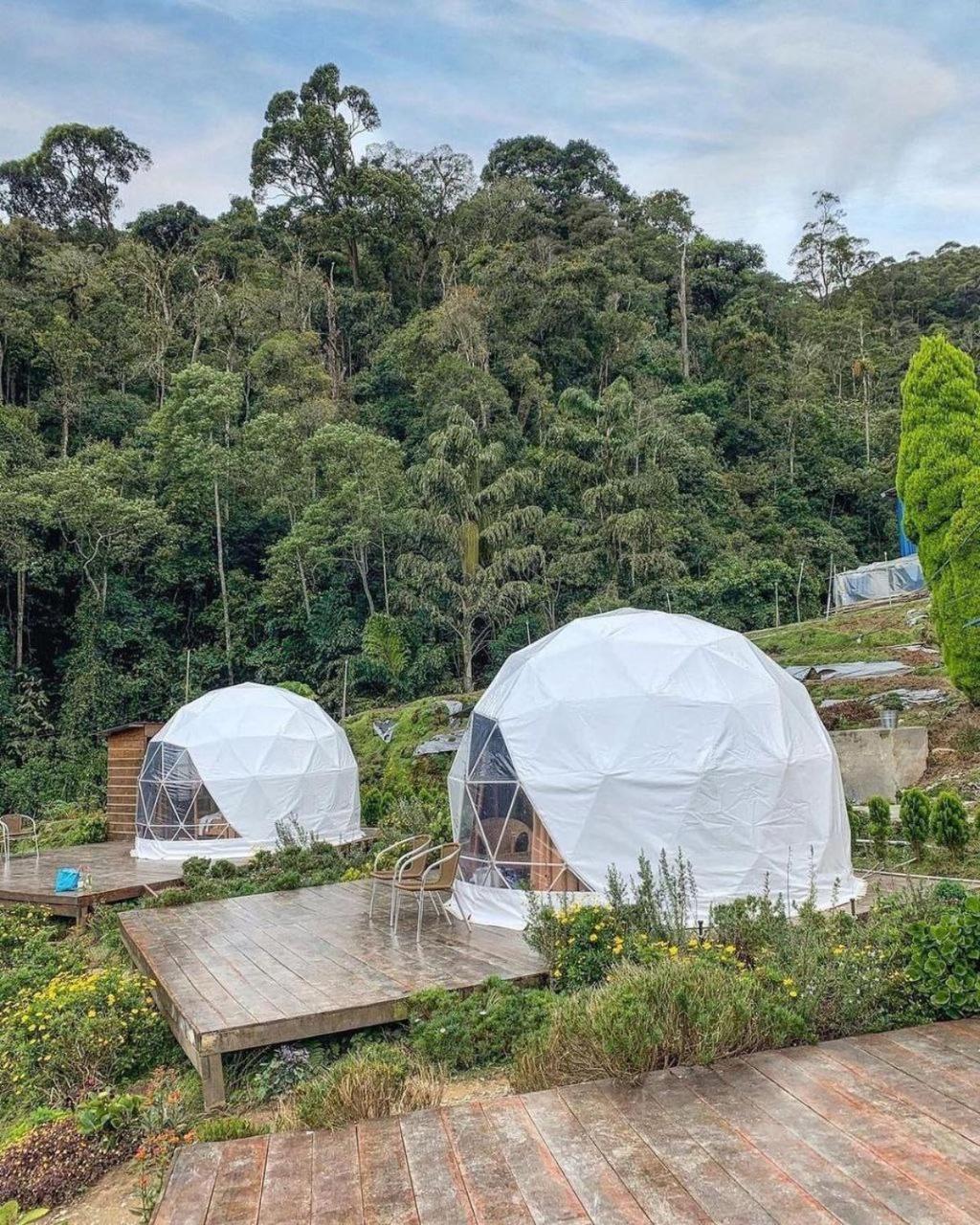 A'Moss Farmstay Cameron Highlands Exterior photo